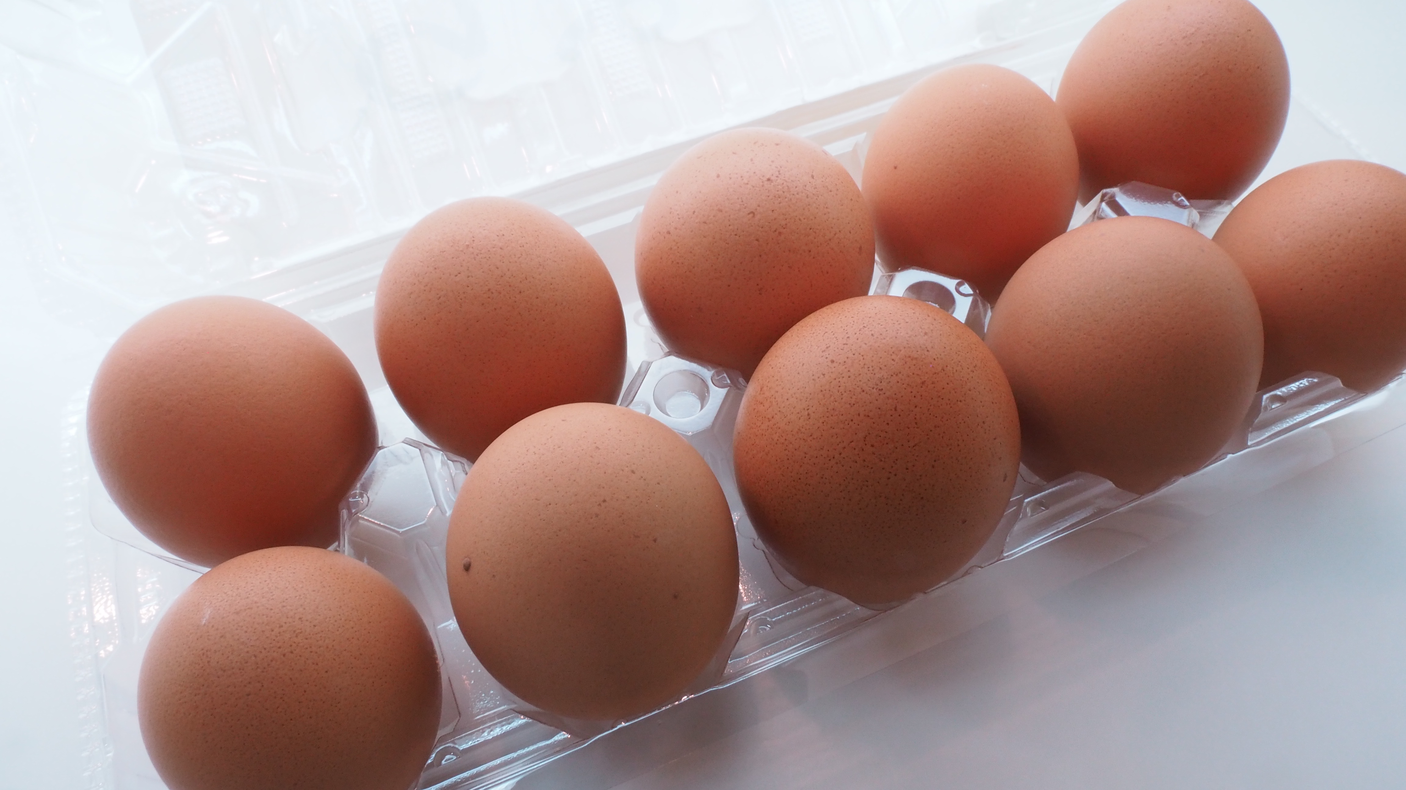 Eggs: Complete Protein for Healing (image credits: wikimedia)