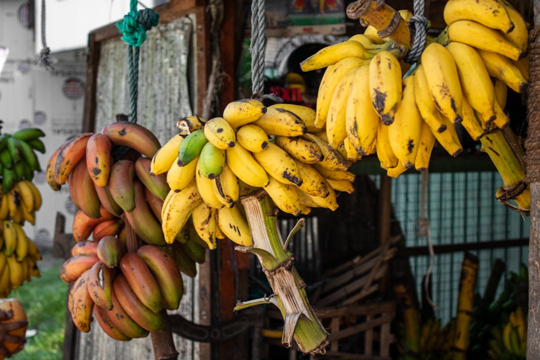 How Much Banana Power Do You Actually Need? (image credits: unsplash)
