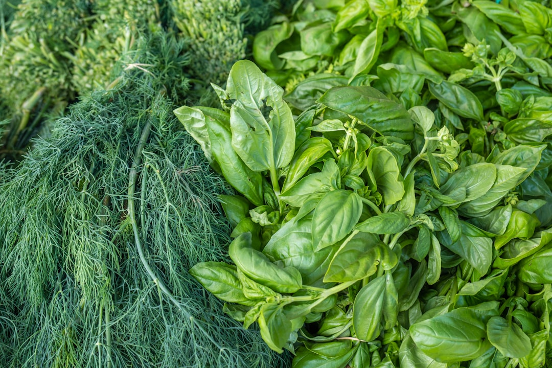 Fresh Herbs and Aromatics: The Final Burst (image credits: unsplash)