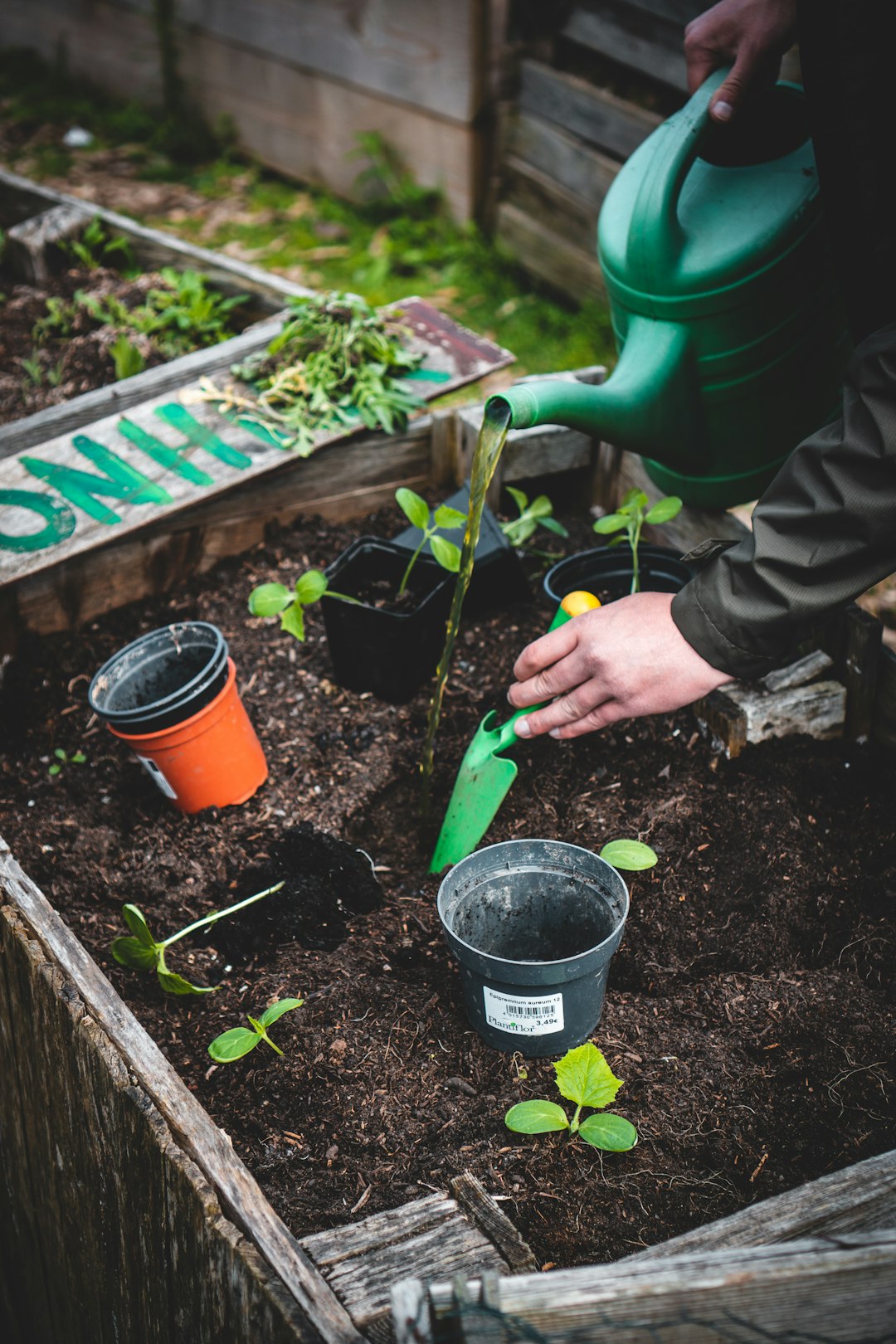 Challenges in the Vertical Farming Landscape (image credits: unsplash)