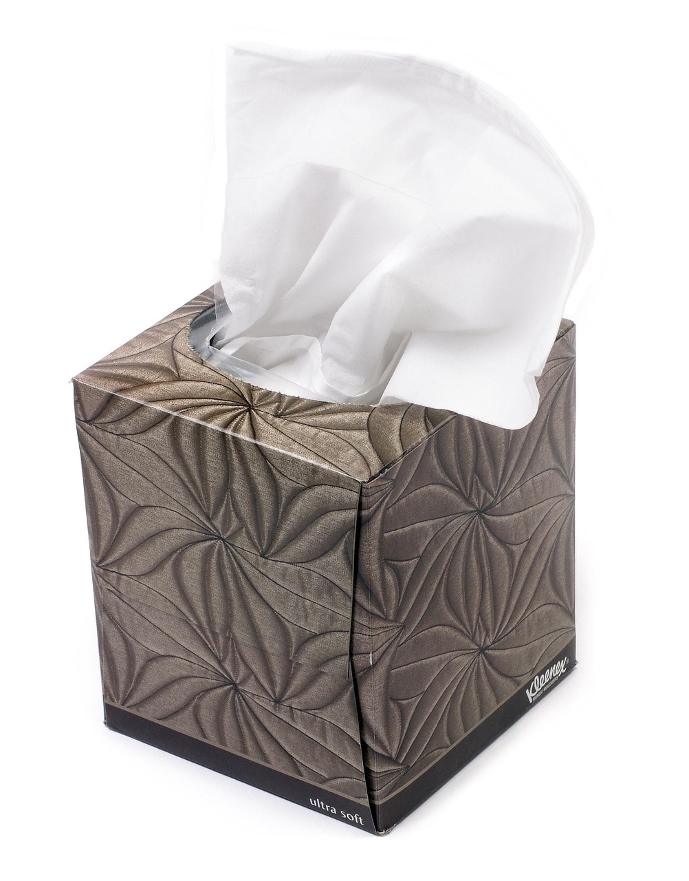 Shrinkflation Makes Products Smaller Without Price Changes (image credits: pixabay)