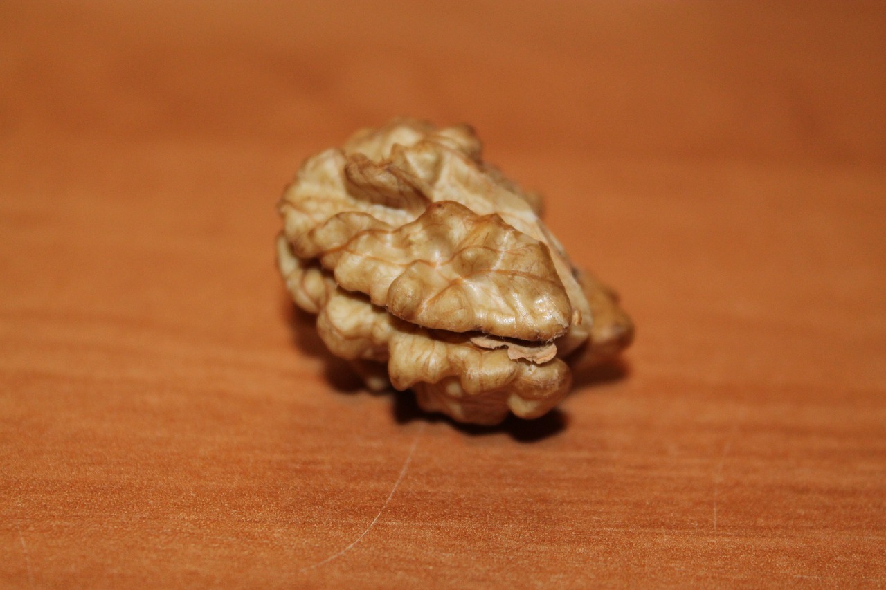 Walnuts - The Brain Food Champion (image credits: pixabay)