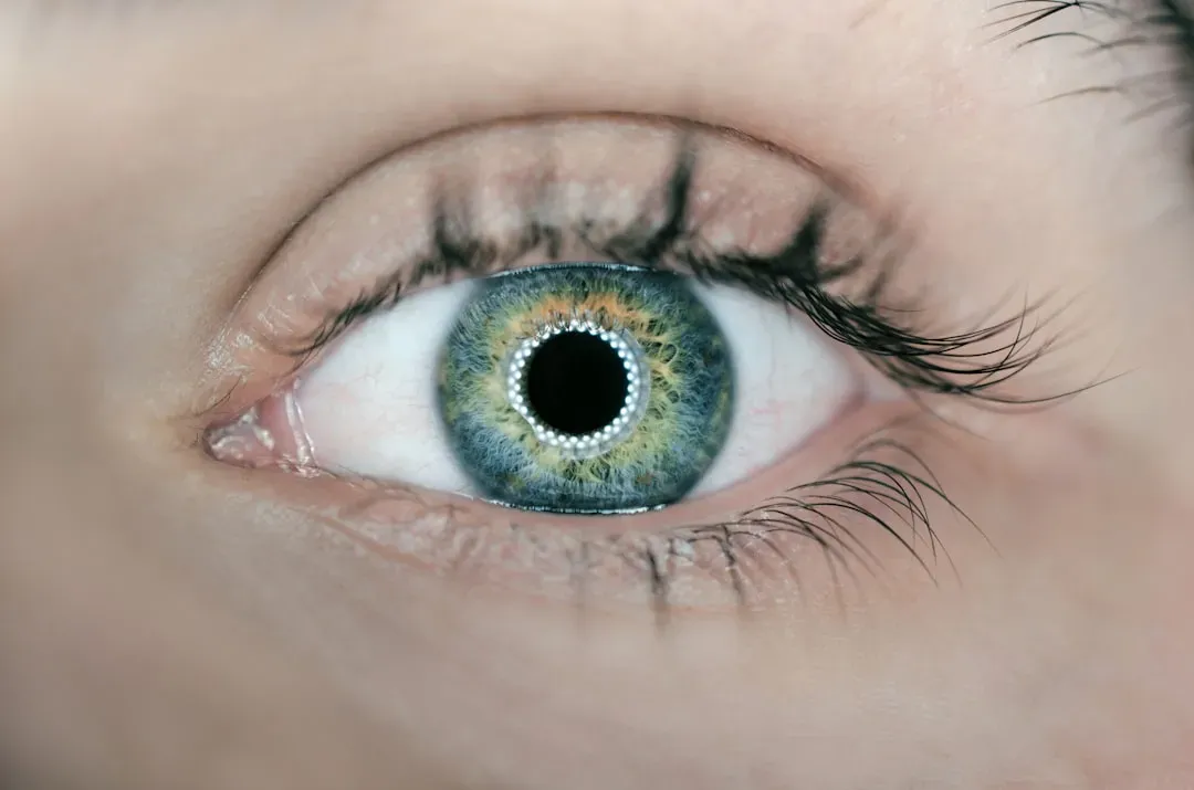 The Golden Triangle: Where Your Eyes Go First (Image Credits: Unsplash)