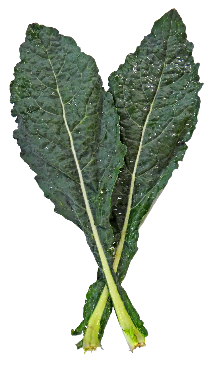 1. Kale (image credits: pixabay)
