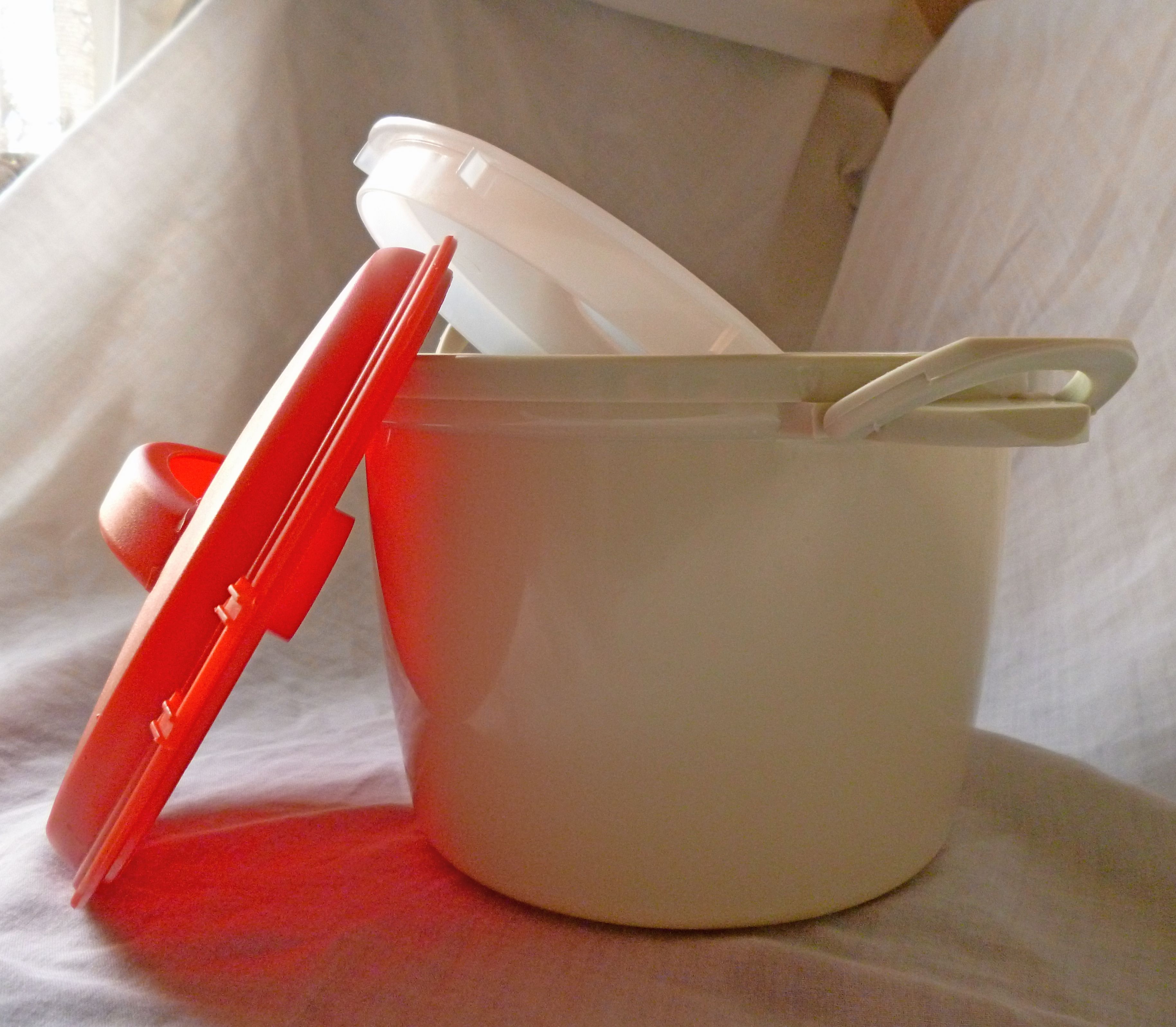 Plastic and Chemical Concerns (image credits: wikimedia)