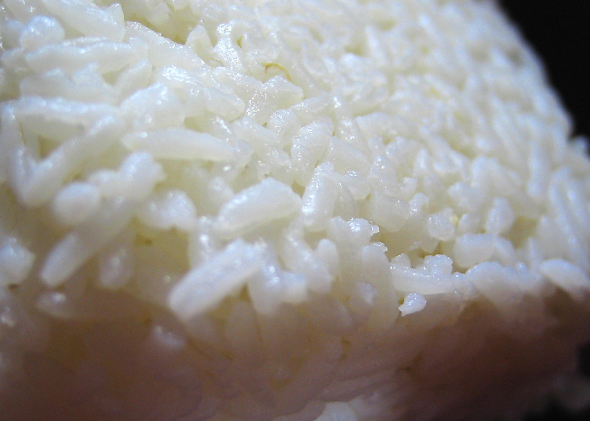 Rice: The Bacillus Cereus Time Bomb (Image Credits: Flickr)