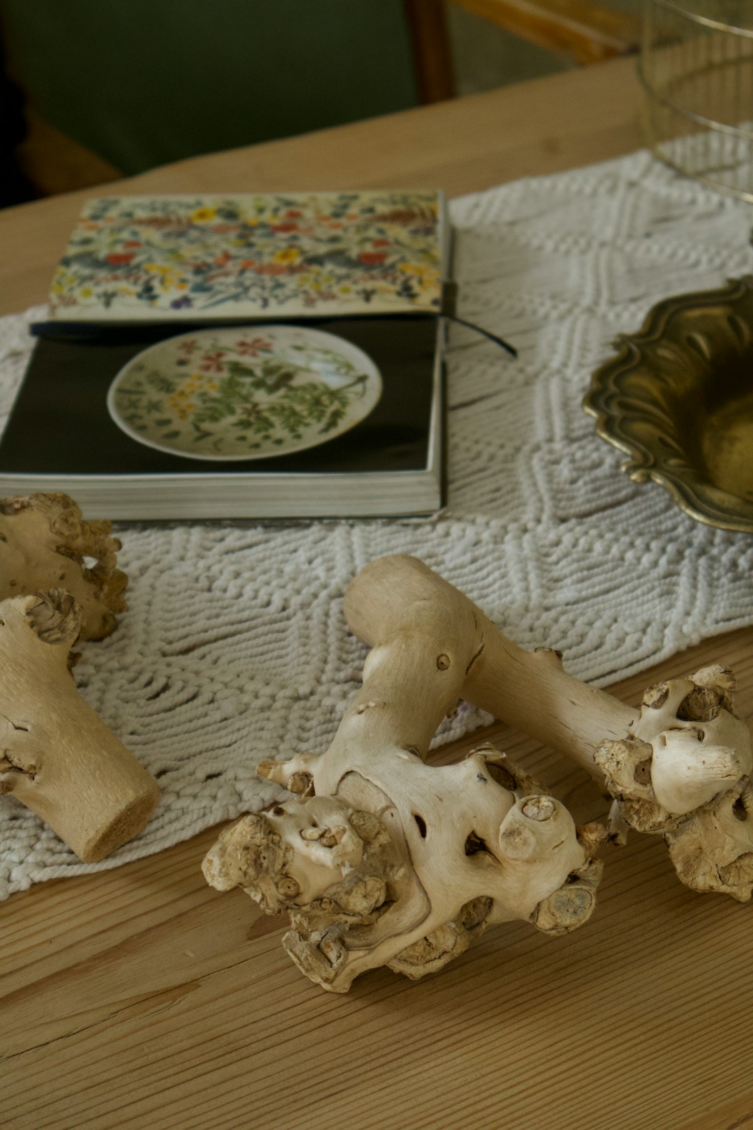 The Bone-Throwing Myth That Never Was (image credits: unsplash)