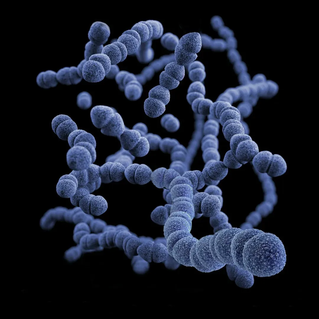 The Gut Microbiome Connection (Image Credits: Unsplash)
