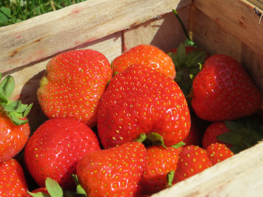 The Sweet Deception of Strawberries (image credits: flickr)
