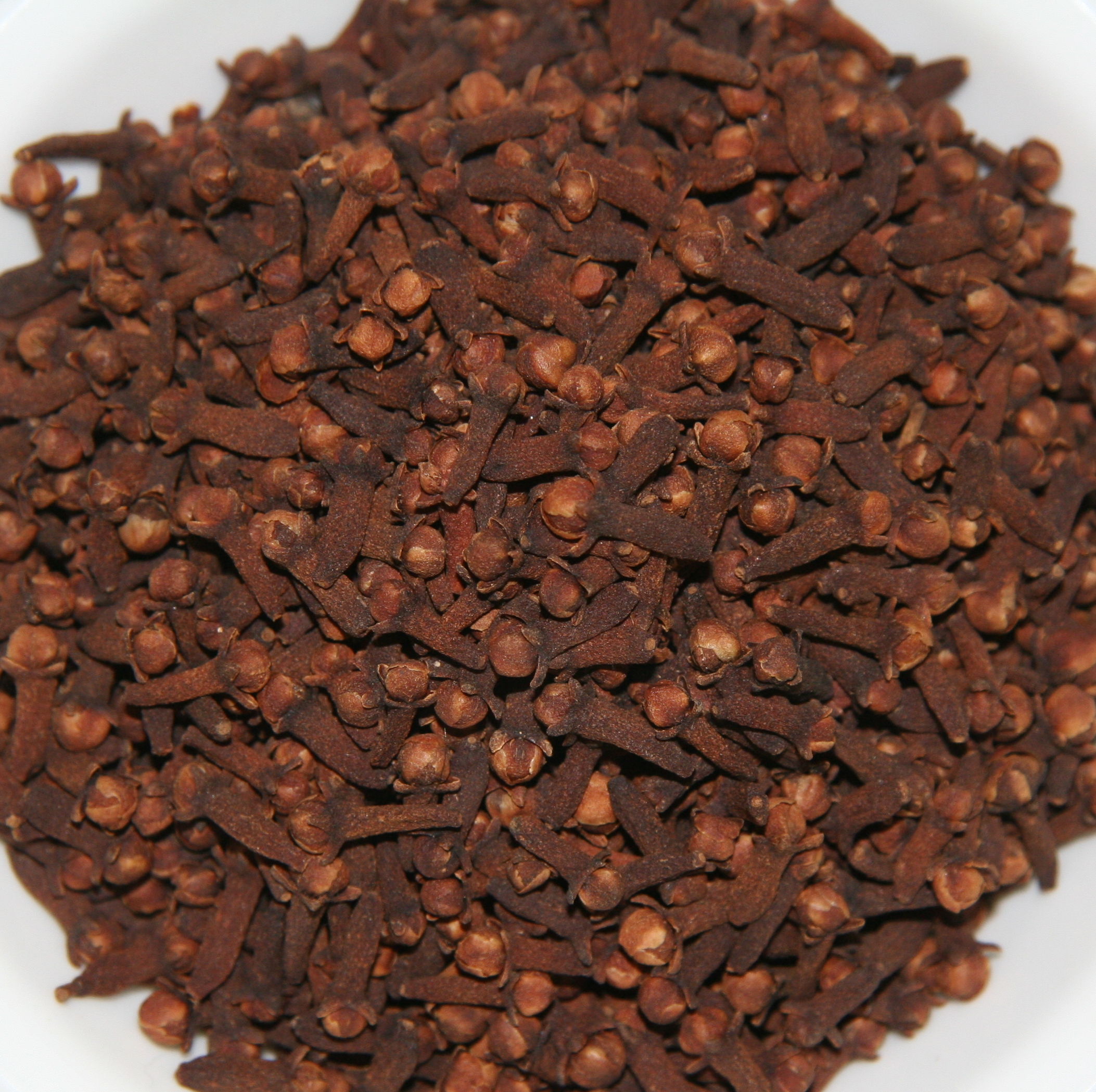 Cloves: A Strong Spice with Strong Effects (image credits: wikimedia)