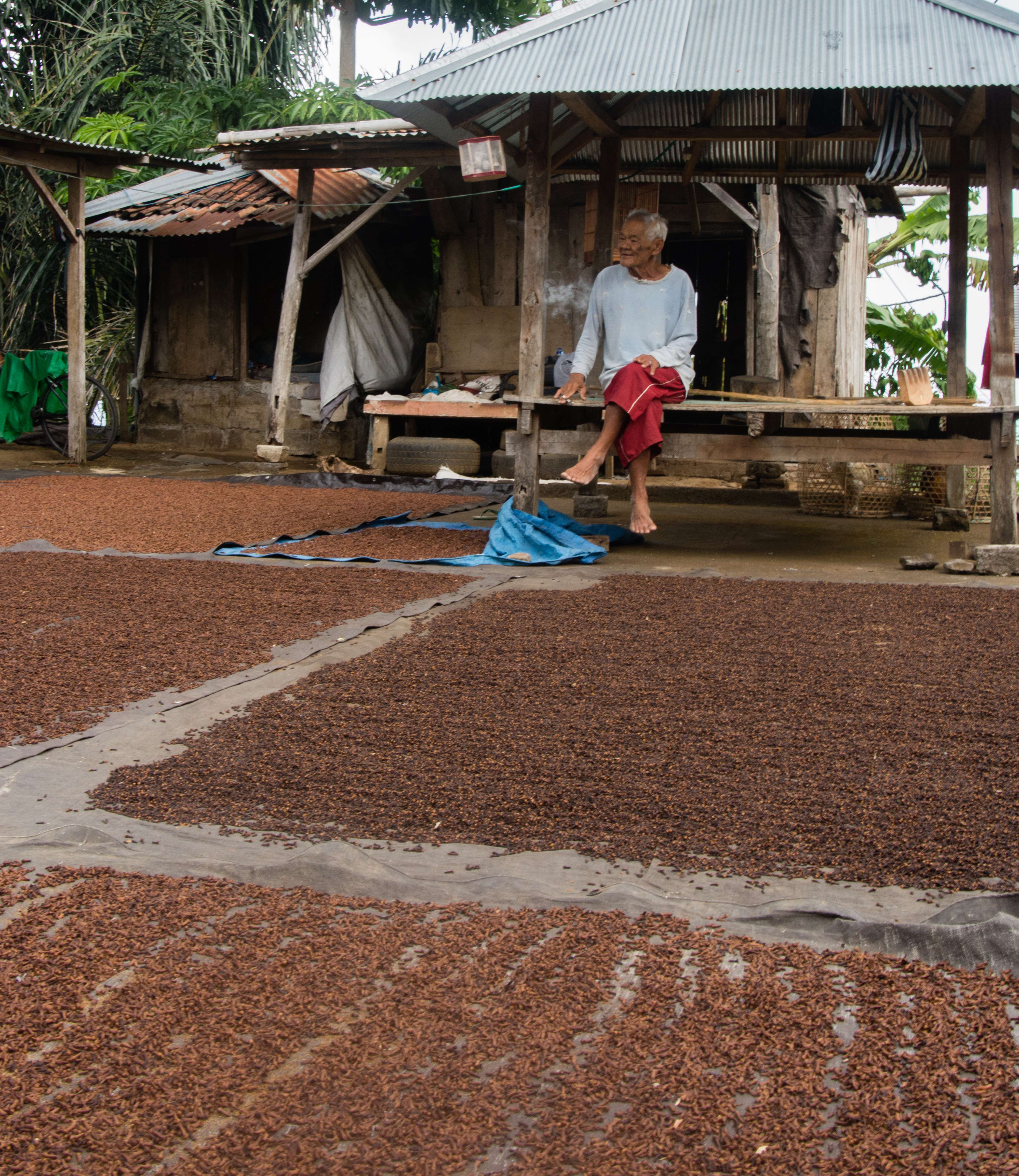 Clove’s Role in Sustainable Practices (image credits: wikimedia)