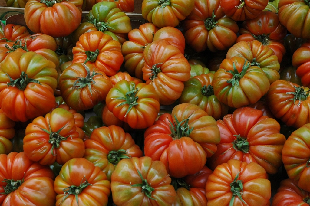 Heirloom Tomatoes (image credits: rawpixel)