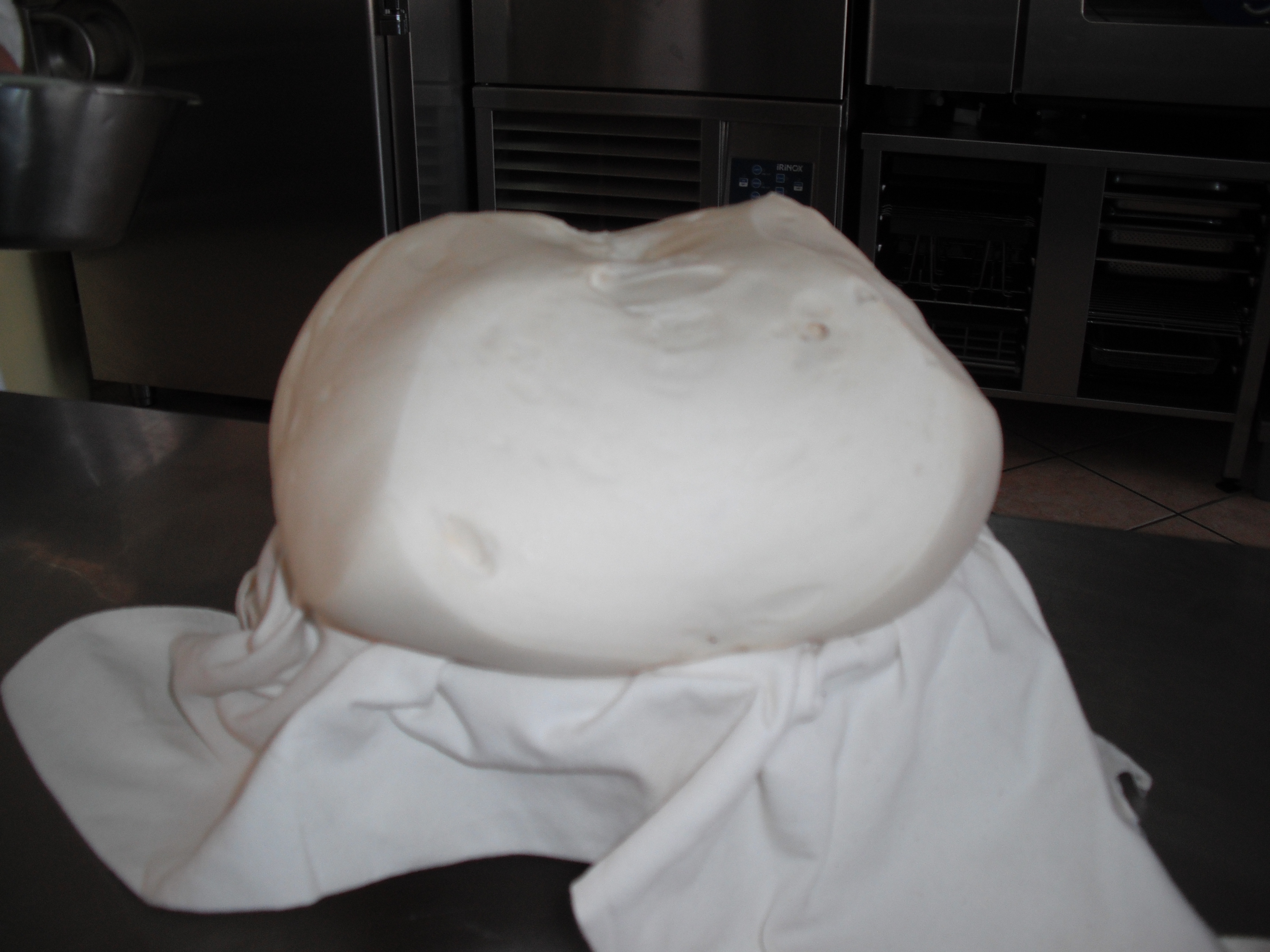 The Science Behind Sourdough (image credits: wikimedia)