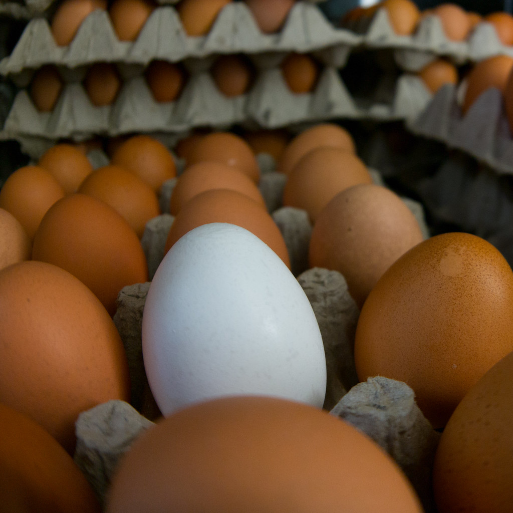 Eggs from Farmers’ Markets (image credits: flickr)