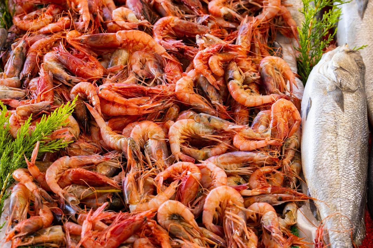 Seafood: The Cost of an International Catch (image credits: pixabay)
