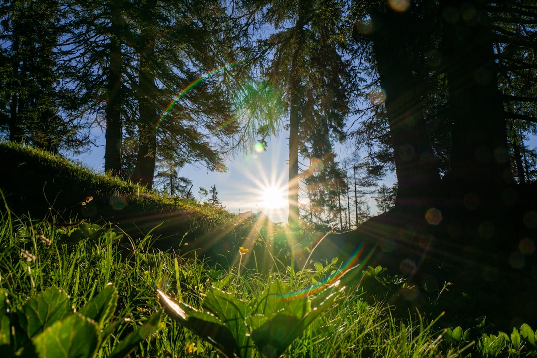 Morning Sunlight Exposure: The Ultimate Circadian Reset (Image Credits: Unsplash)