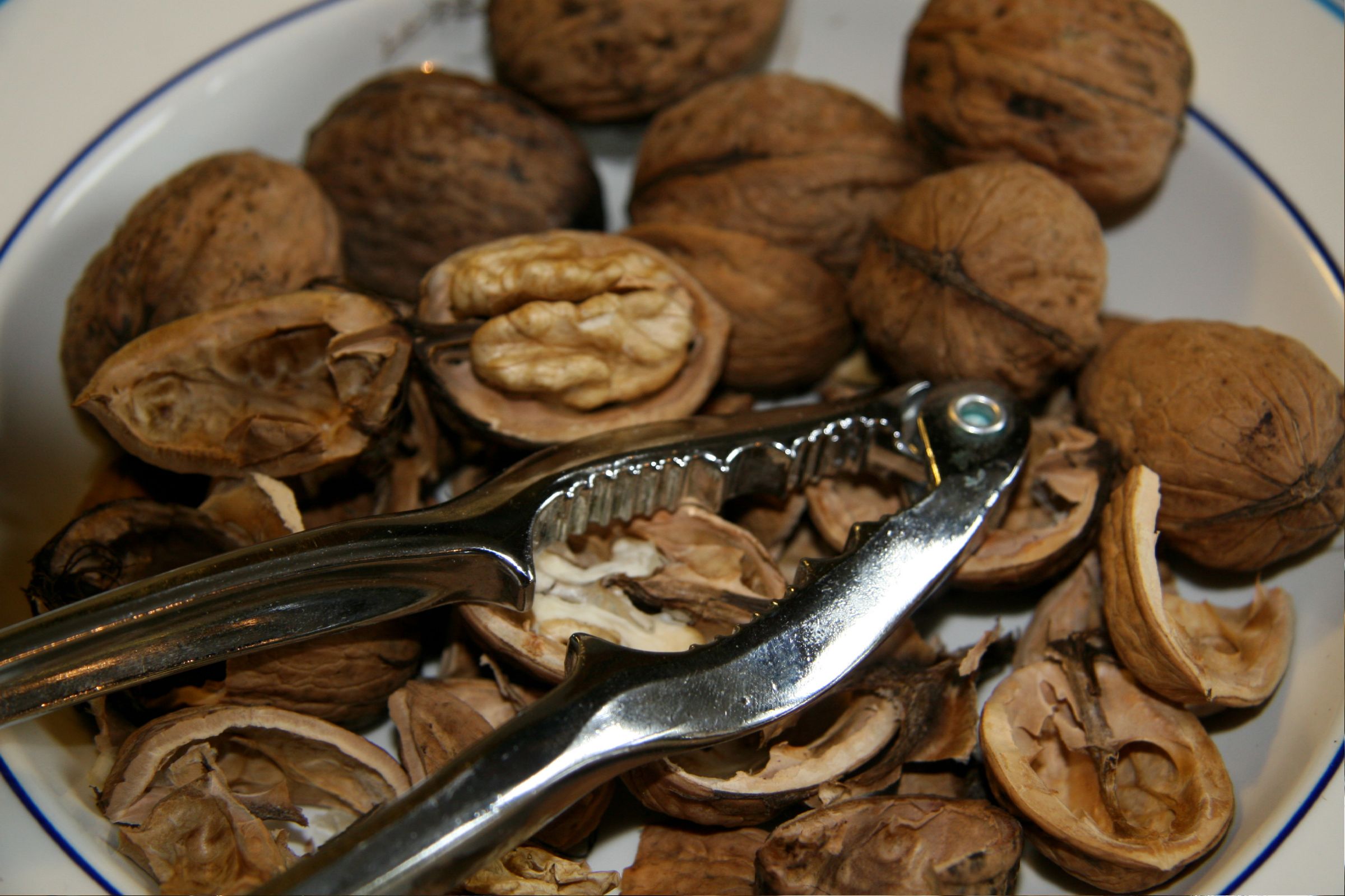 Walnuts: Crunchy Brain Fuel Rich in Omega-3s (image credits: wikimedia)