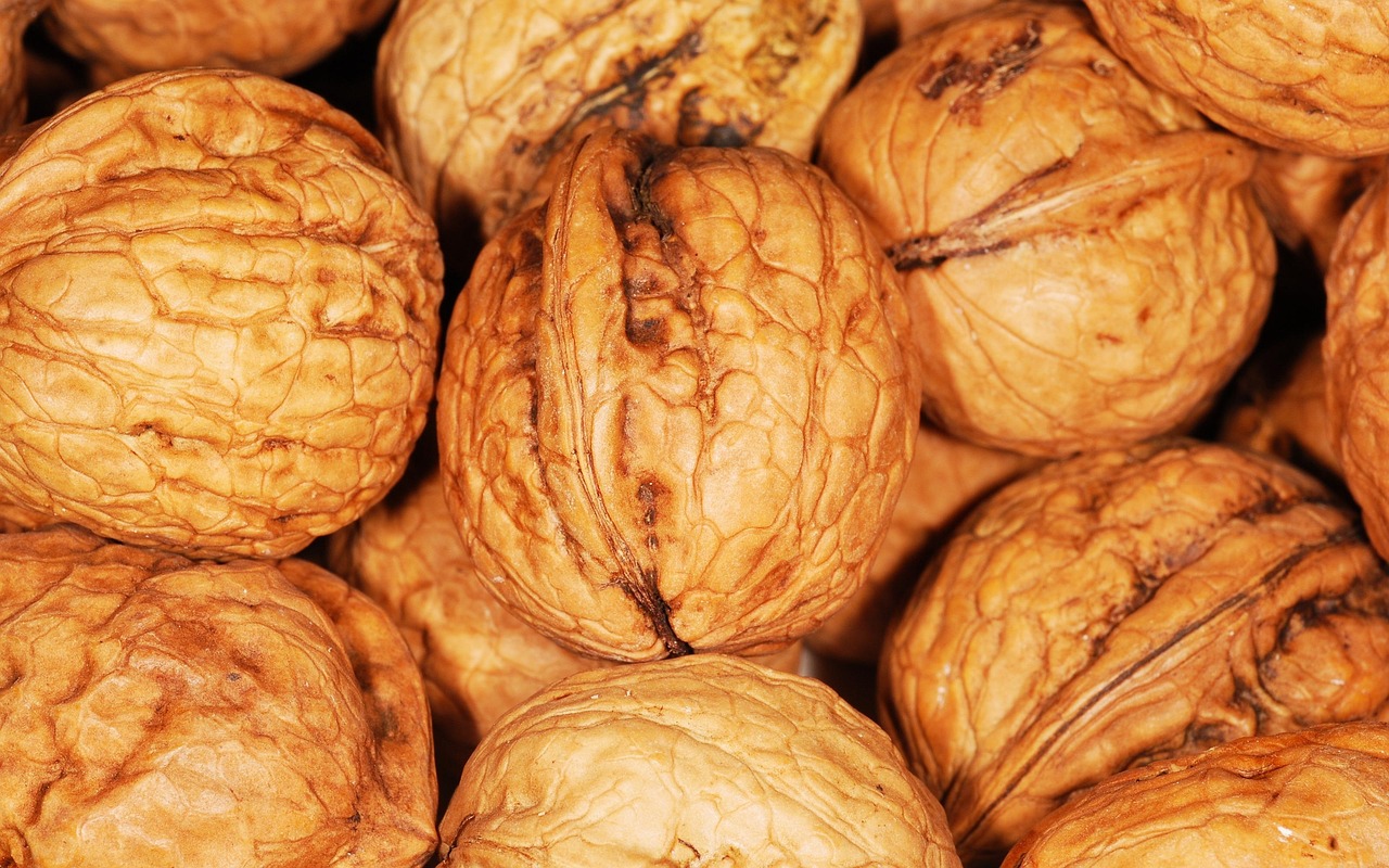 Walnuts Offer Premium Nutrition at Mid-Range Prices (image credits: pixabay)