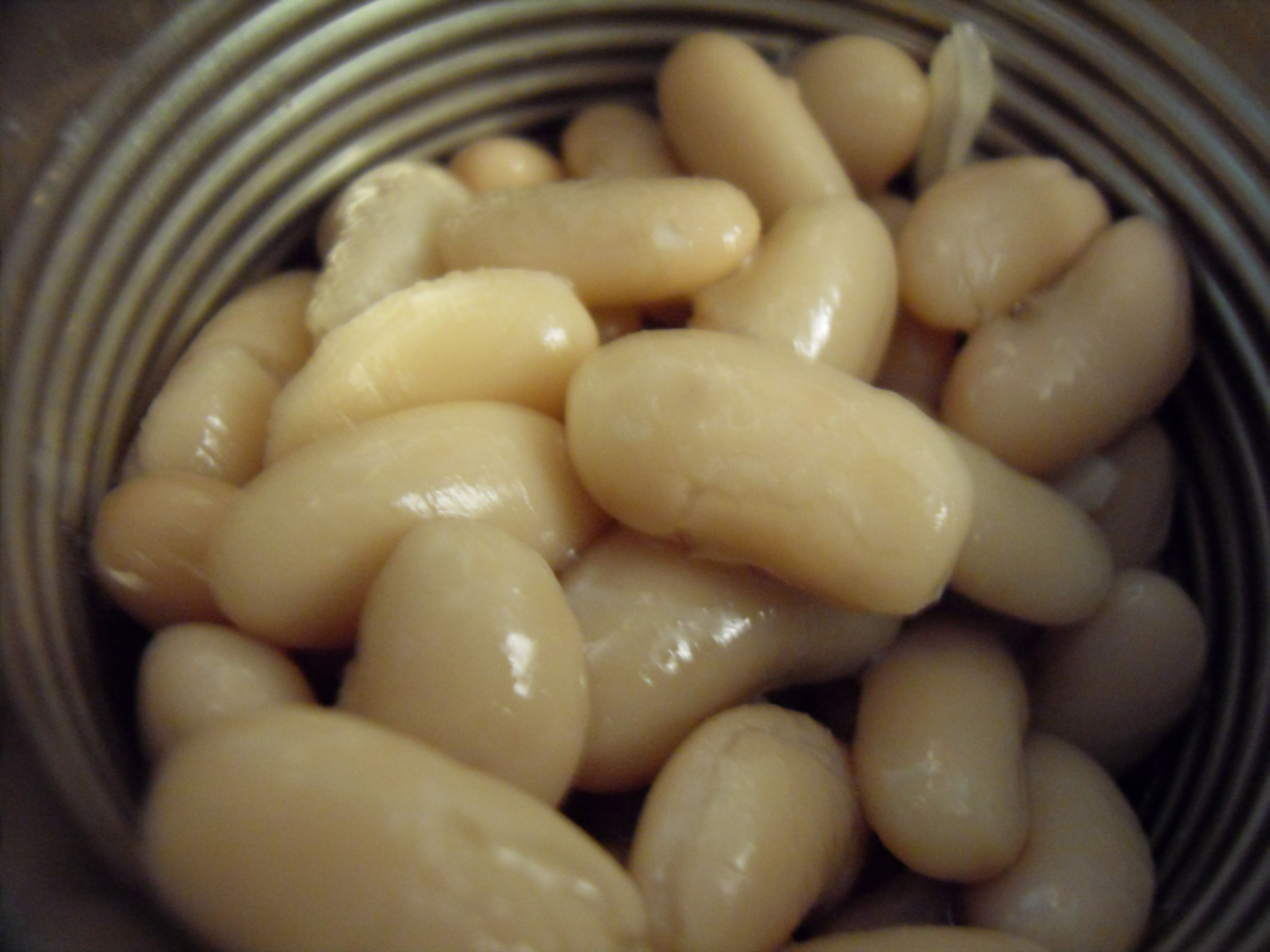 The Canned Bean Champions Every Kitchen Needs (image credits: wikimedia)