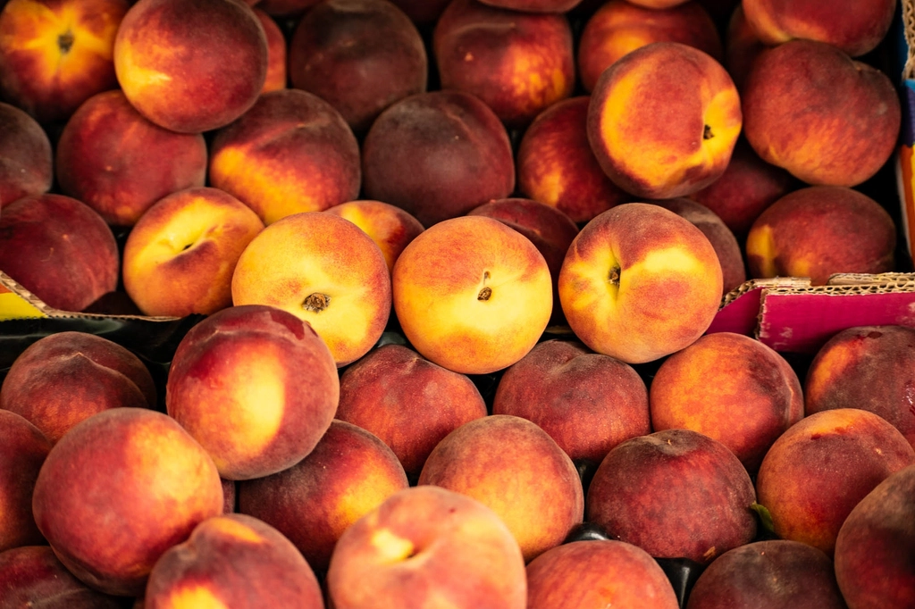 Peaches: A Juicy Delight (image credits: rawpixel)