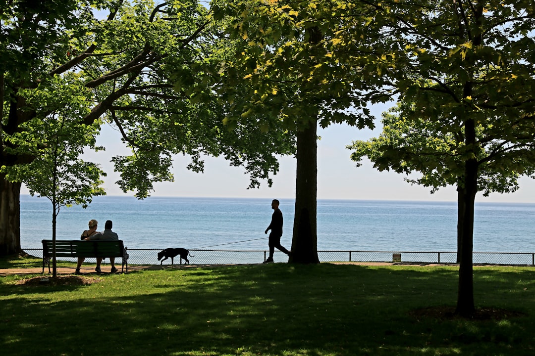 The Michigan Meltdown: Great Lakes, Great Problems (image credits: unsplash)