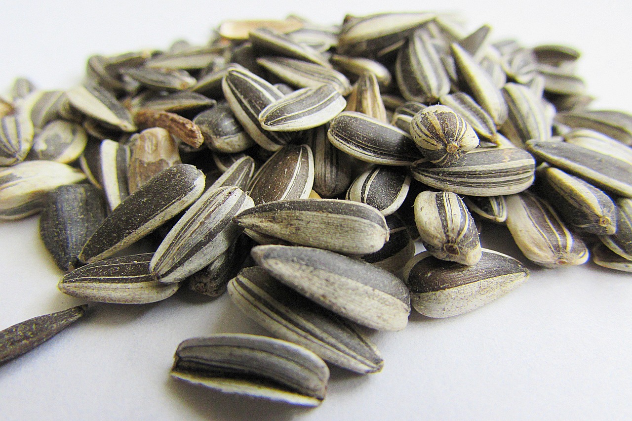 Sunflower Seeds: Vitamin E for Enhanced Growth and Shine (image credits: pixabay)