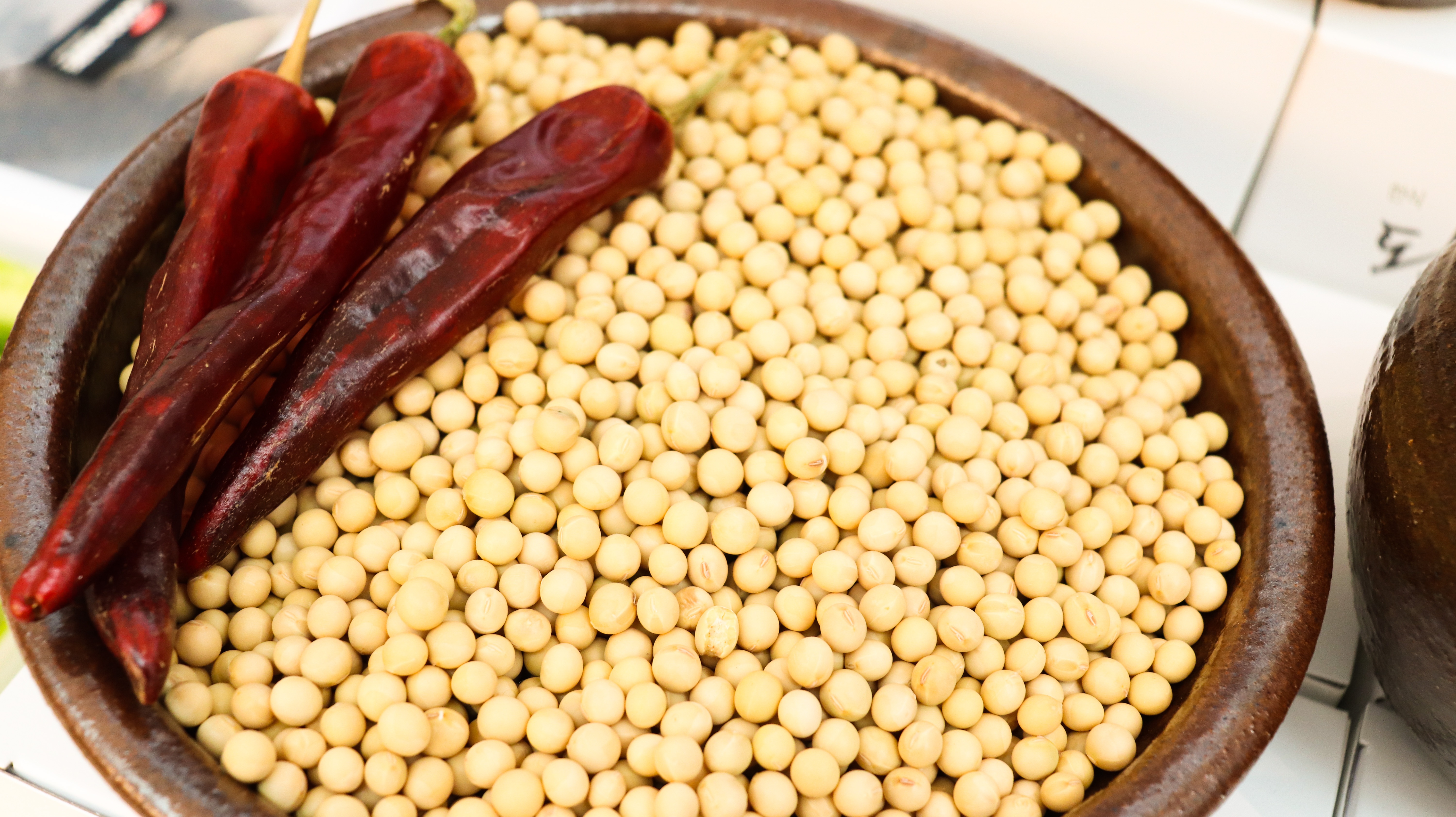 Ganjang’s Sustainability Edge (image credits: wikimedia)