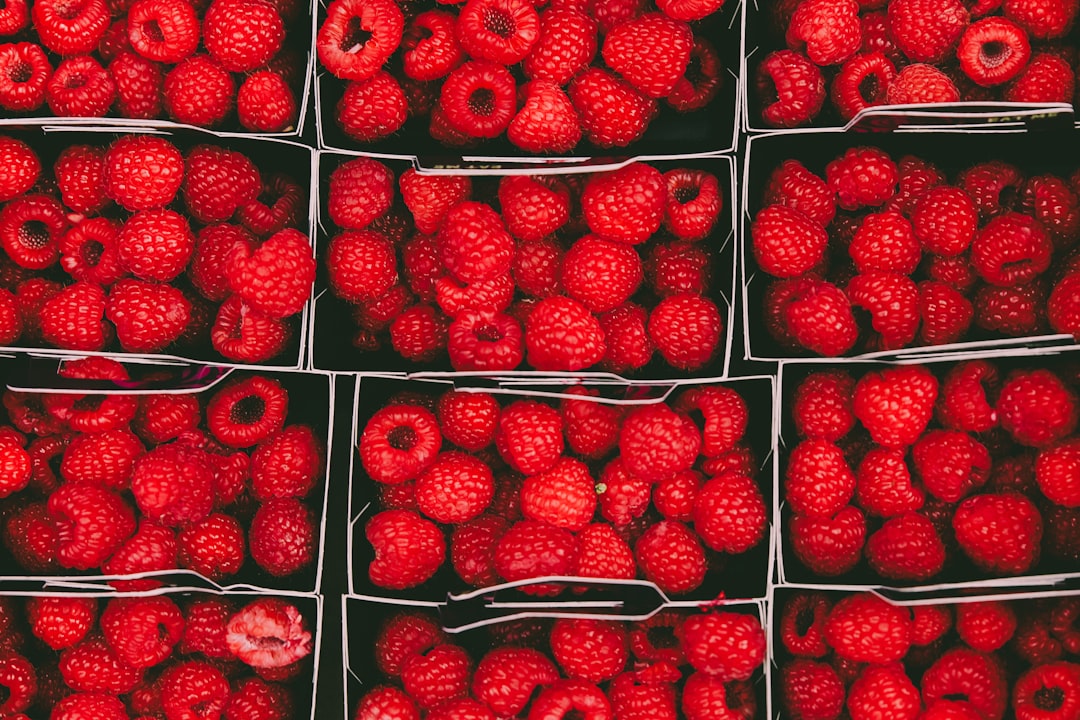 Raspberries: Tart and Tempting (image credits: unsplash)