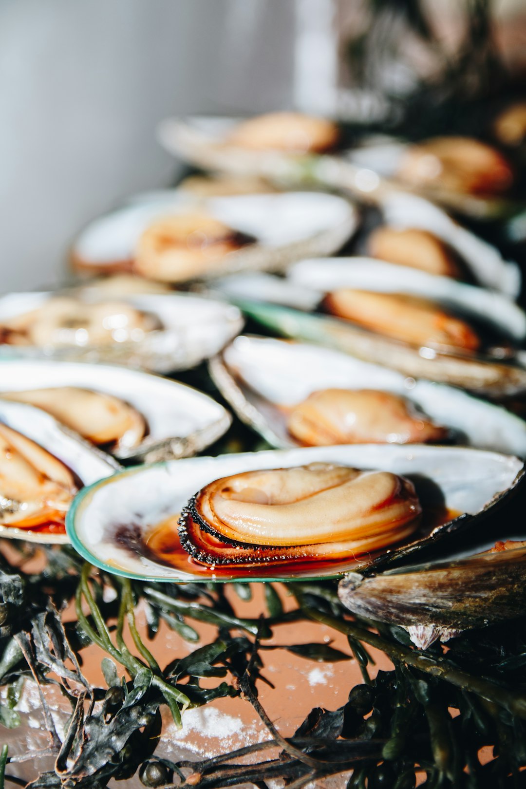 Mussels Close the Gap with Surprising Versatility (image credits: unsplash)