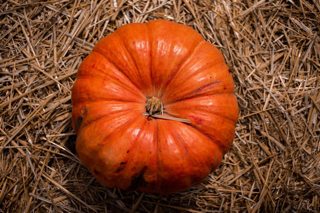 Pumpkin Spice Makes Its Triumphant Return (image credits: unsplash)