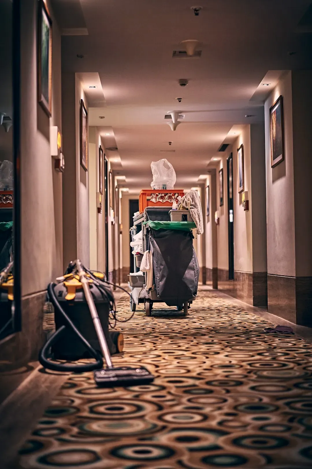 Piling Trash Outside Your Door (Image Credits: Unsplash)