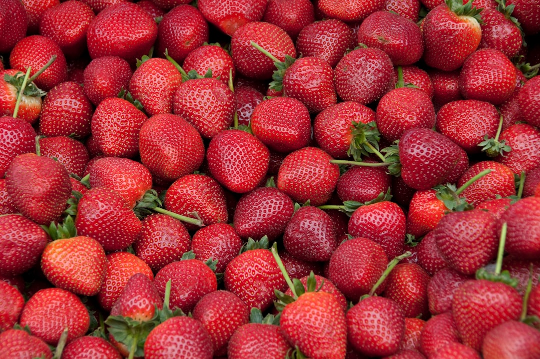 Strawberries: The Memory Enhancer (image credits: unsplash)