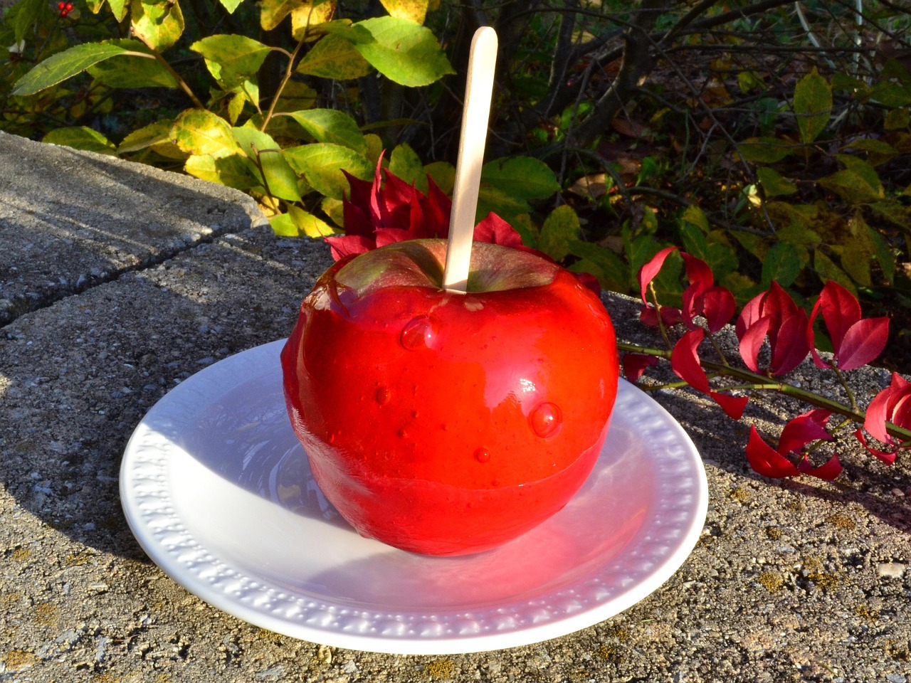 Insert Sturdy Sticks Before Dipping (image credits: pixabay)