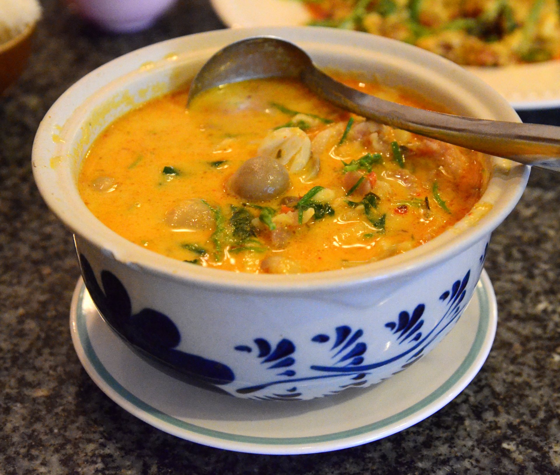 Turmeric and Coconut Milk Soup (image credits: wikimedia)