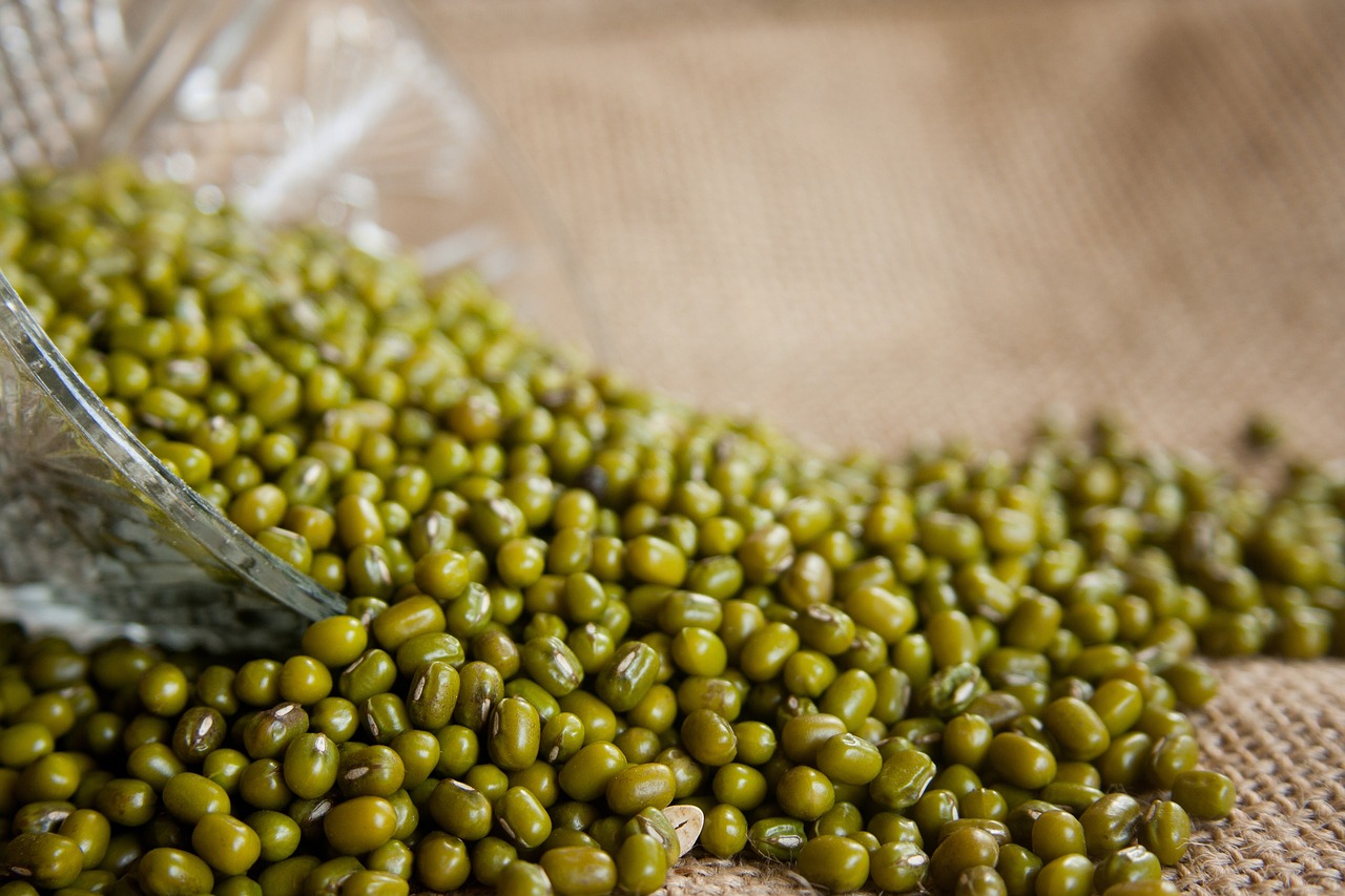 Mung Beans (image credits: pixabay)