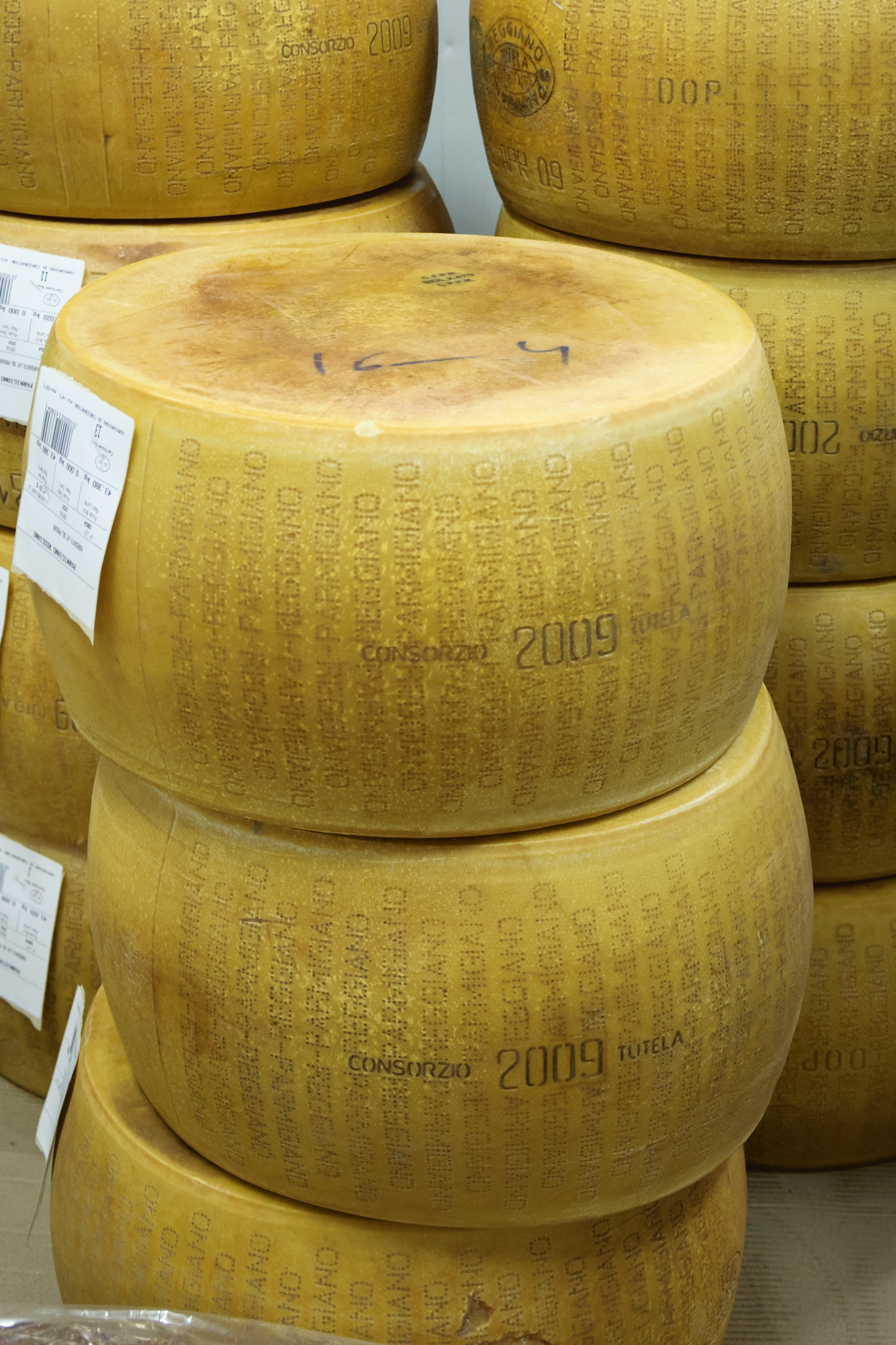 Parmesan Cheese: A Pricey Grating Experience (image credits: wikimedia)