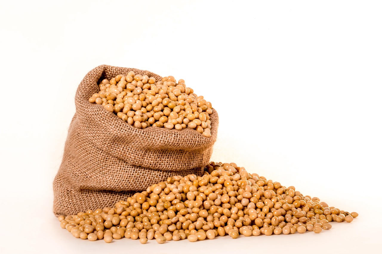 Soybean Oil - The Ultra-Processed Impostor (image credits: pixabay)