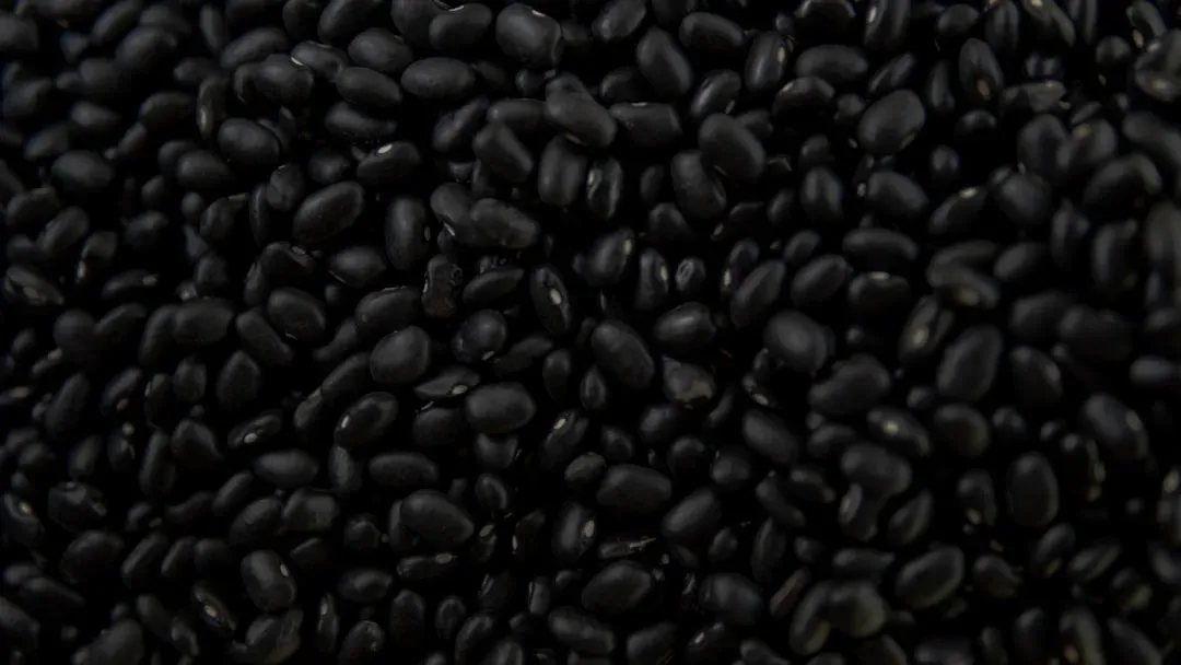 Food #3: Black Beans (Image Credits: Unsplash)