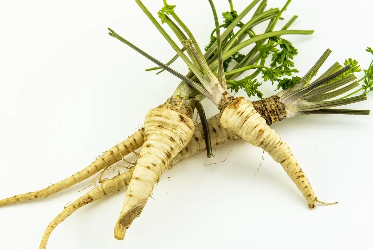 Parsley: The Patient Performer (Image Credits: Pixabay)