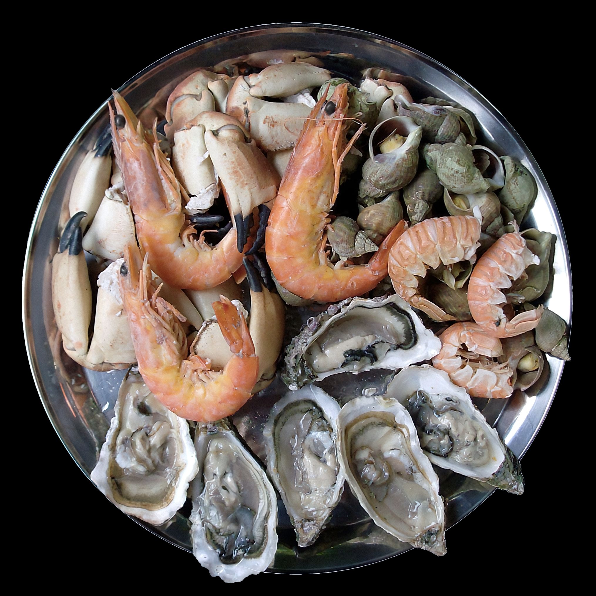 Shellfish (Oysters, Shrimp) (image credits: wikimedia)