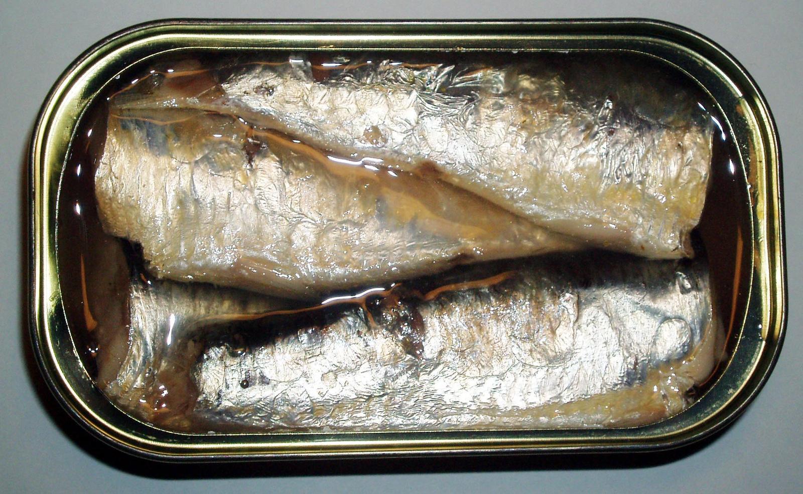 Sardines: The Omega-3 Powerhouse That Beats Tuna (Image Credits: Wikimedia)