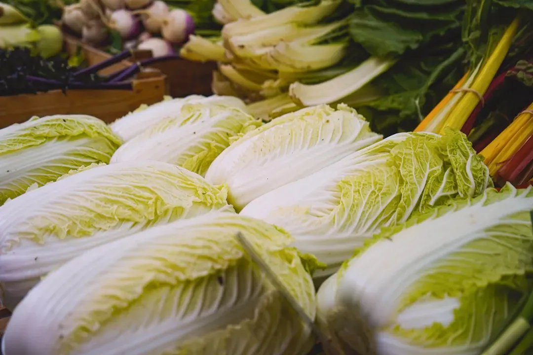 Chinese Cabbage: The Silver Medal Champion (Image Credits: Unsplash)