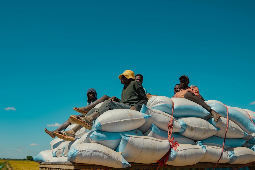 Foreign Aid Halted (image credits: unsplash)