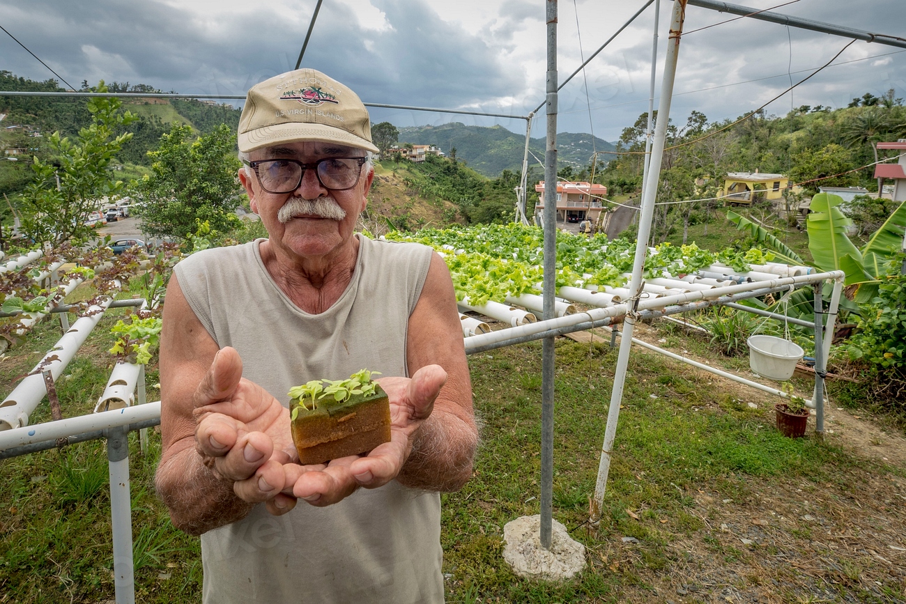 The Impact on Small Farmers (image credits: rawpixel)