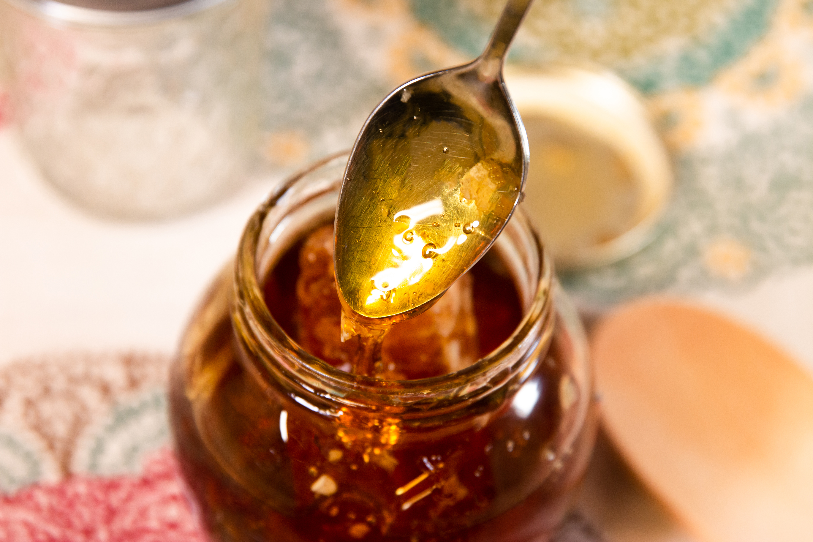 Honey: Nature’s Soothing Elixir (image credits: wikimedia)