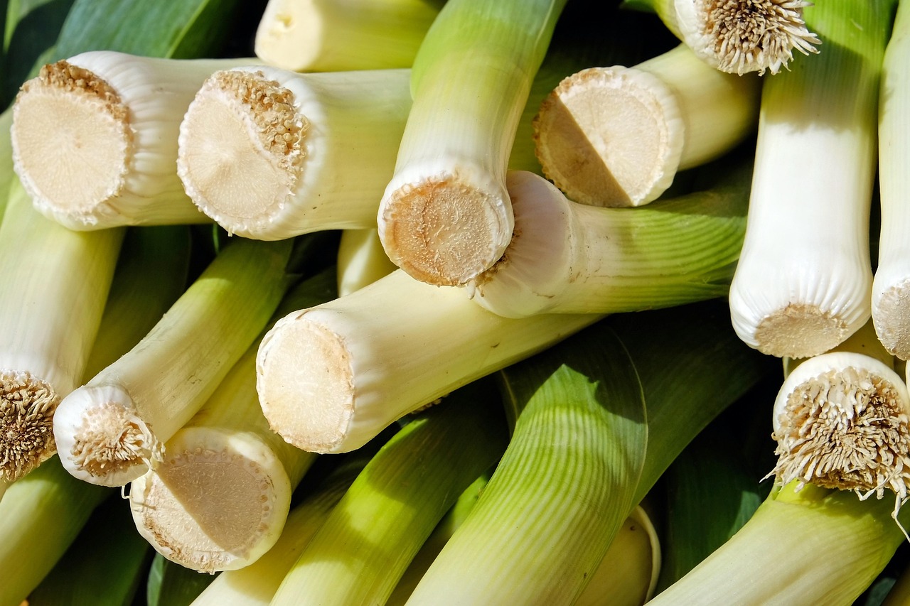 Leeks: Subtle Flavor, Strong Digestive Effects (image credits: pixabay)