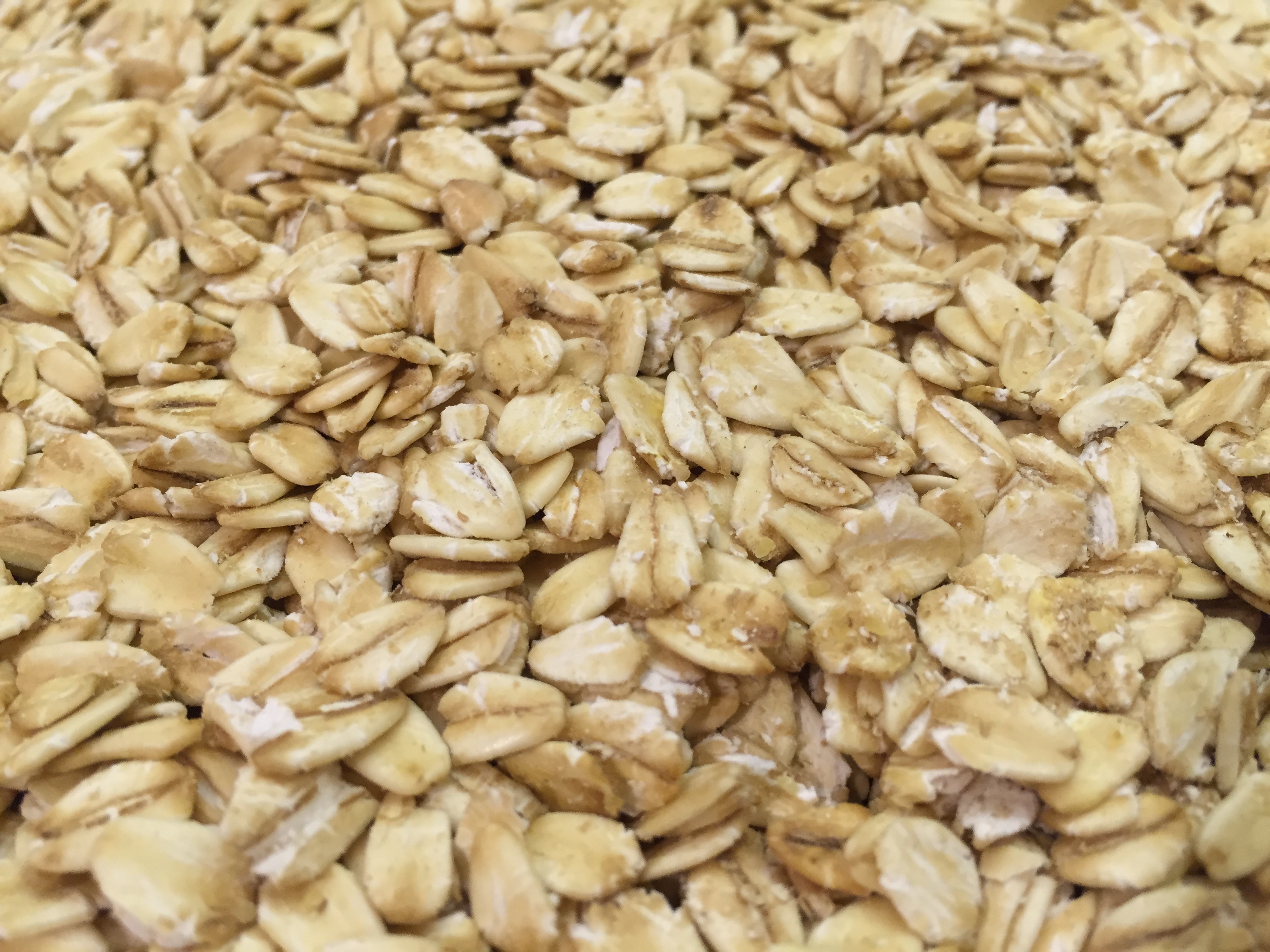 Old-Fashioned Rolled Oats: Still Wholesome (image credits: wikimedia)