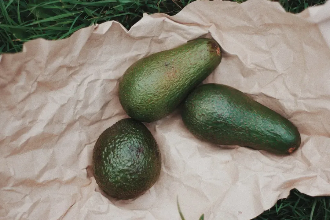 Organized Crime Has Entered the Avocado Business (Image Credits: Unsplash)