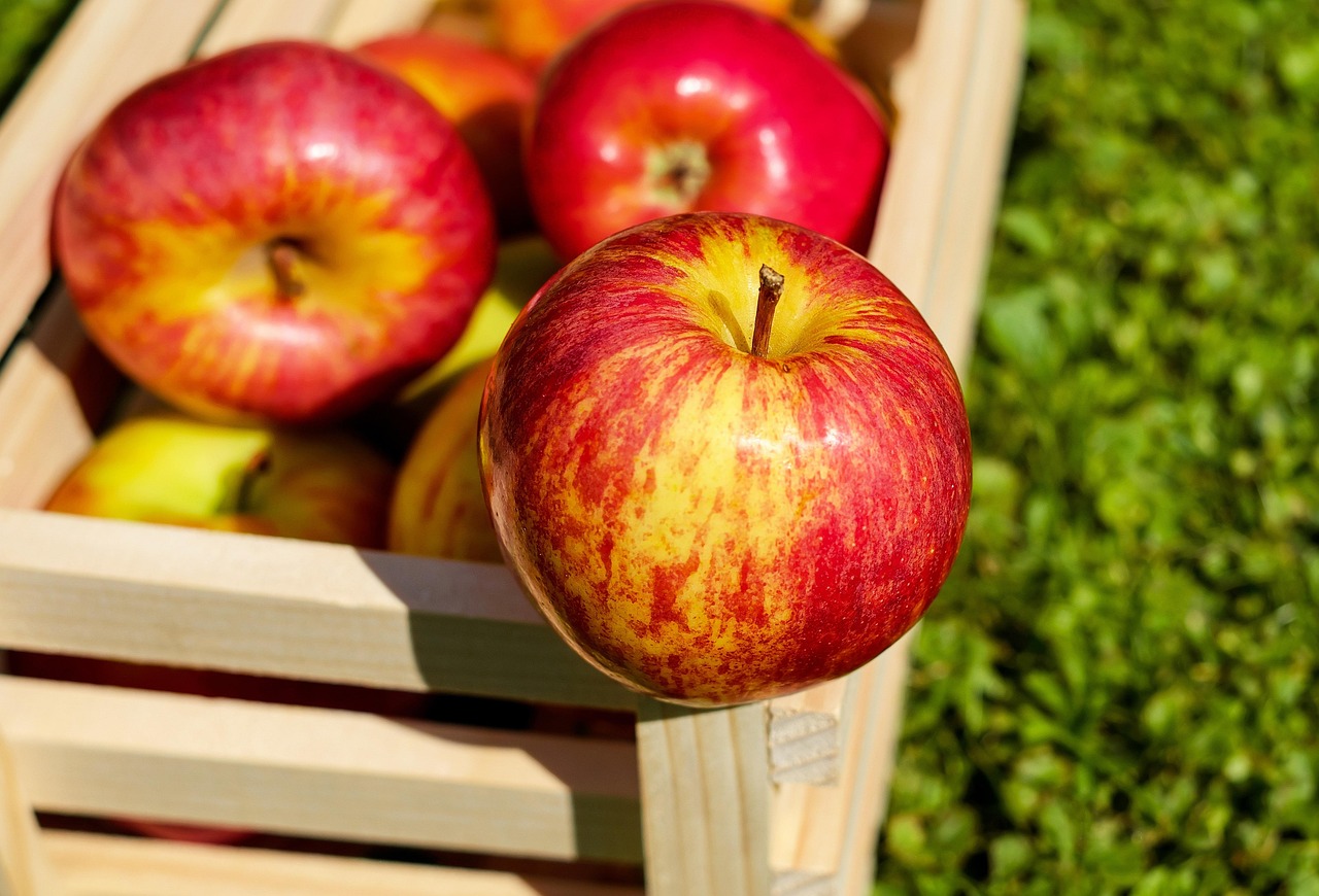 Apples: Polyphenols and Their Impact on Reaction Speed (image credits: pixabay)