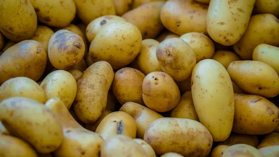 4. Potatoes: One of the Few Staples Actually Getting Cheaper (Image Credits: Unsplash)
